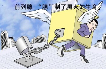 如何治疗前列腺炎